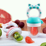 Baby Fruit Feeder & Spoon