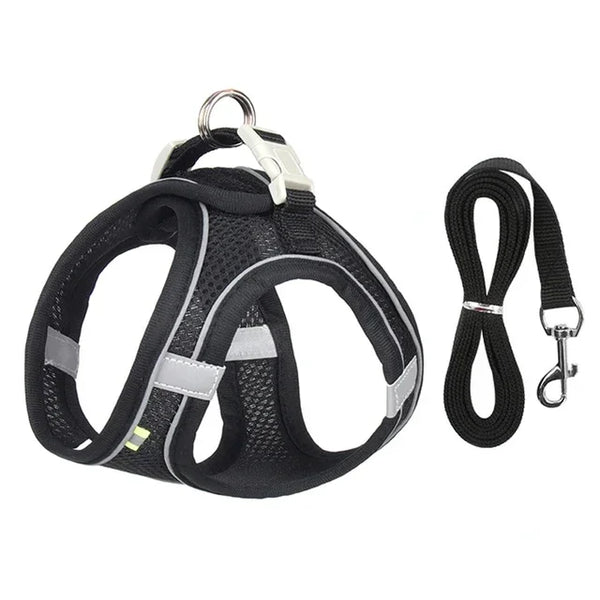 Cat & Dog Harness Leash Set