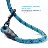 Strong Reflective Dog Leash