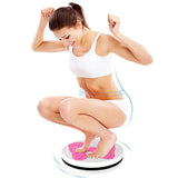 Waist Twisting Fitness Disc