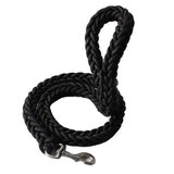 Large Nylon Dog Leash