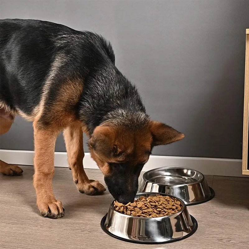 Stainless Steel Anti-Skid Dog Bowl