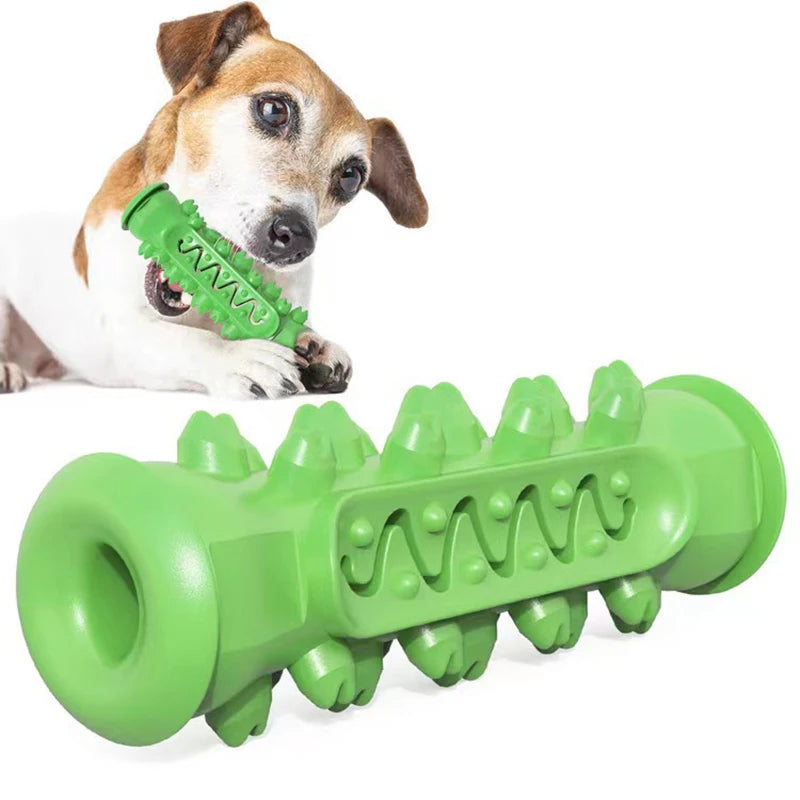 Rubber Dog Toothbrush Chew Toy