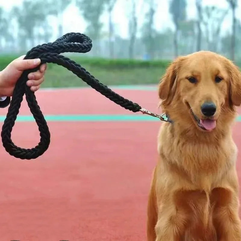 Large Nylon Dog Leash