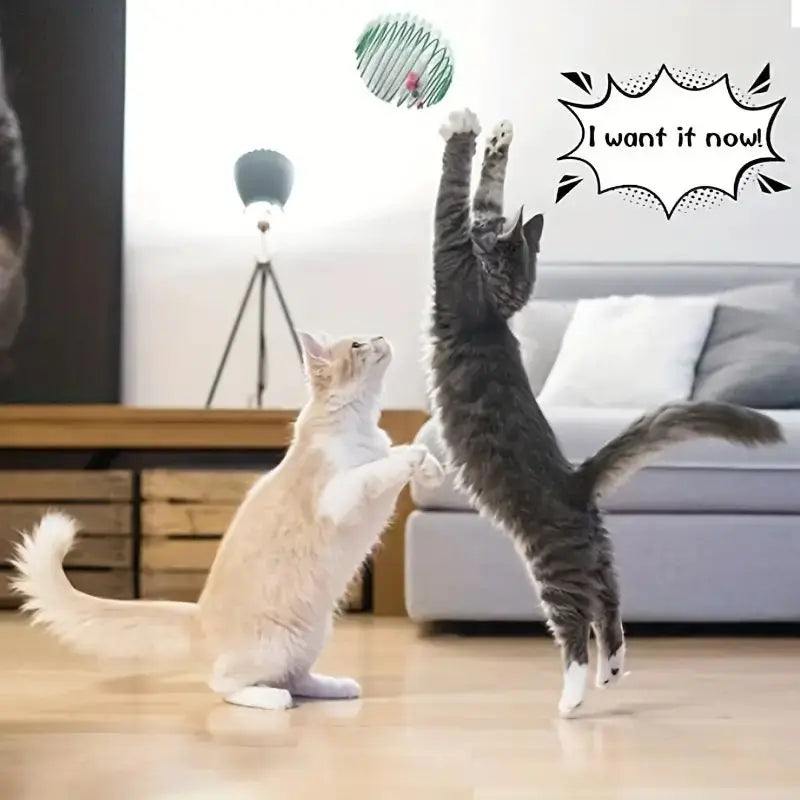 Stretchable Cat Toy Balls