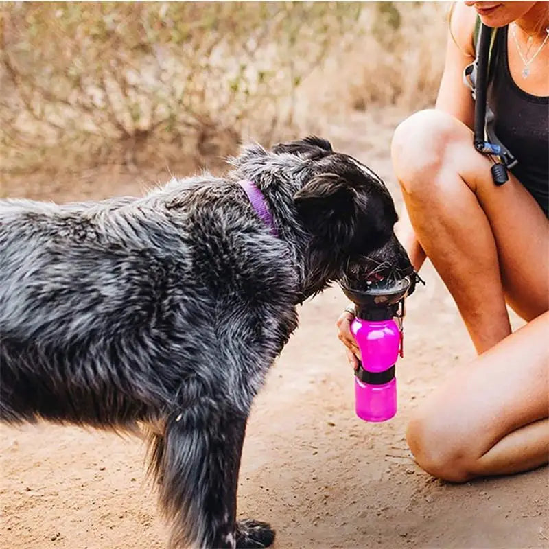 Portable Dog Water Bottle