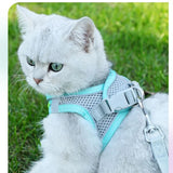 Escape-Proof Cat Harness