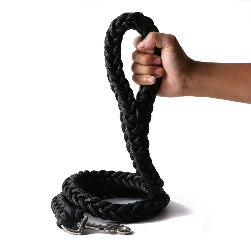 Large Nylon Dog Leash