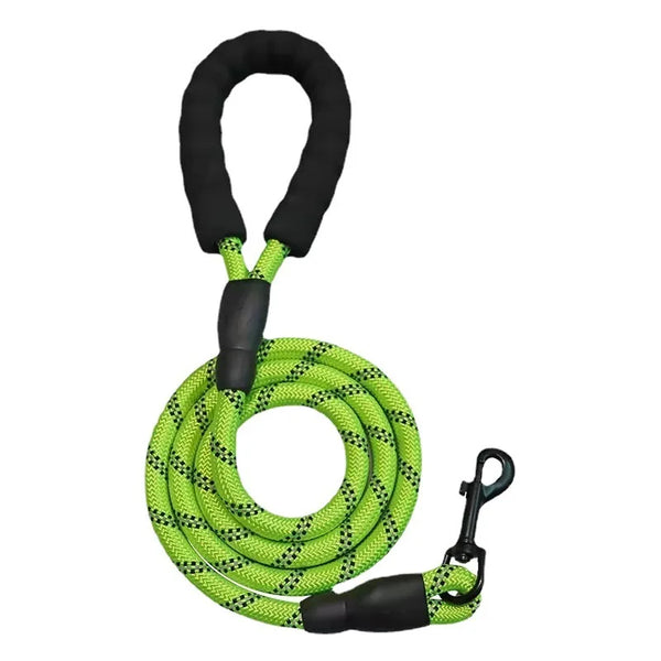 Reflective Nylon Dog Leash