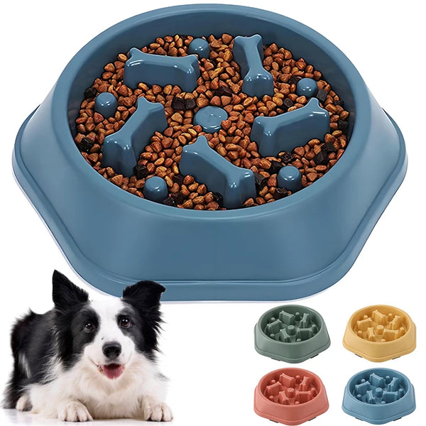 Slow Feeder Dog Bowl