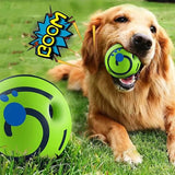 Pet Chew Ball for Cats & Dogs