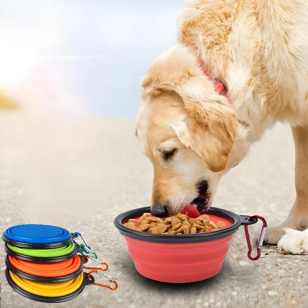 Collapsible Dog Travel Bowl