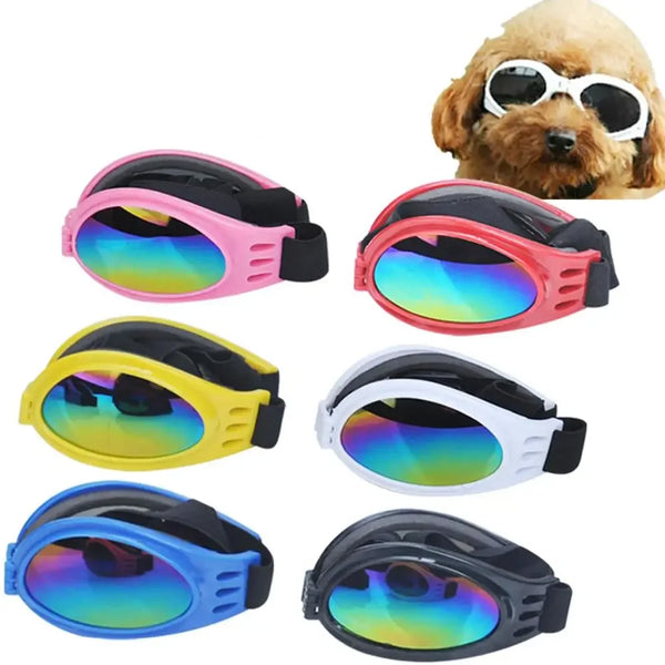 Pet Foldable UV Glasses