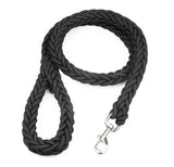 Large Nylon Dog Leash