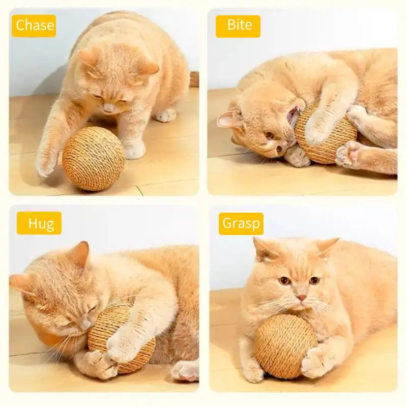 Interactive Cat Toy Ball