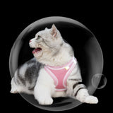 Escape-Proof Cat Harness