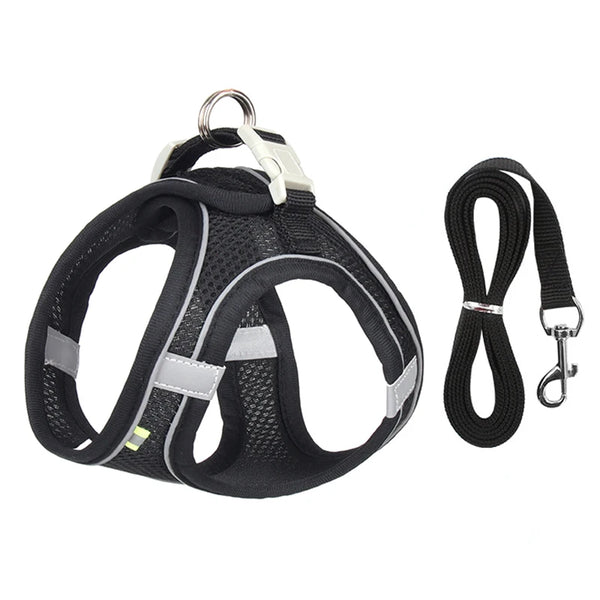 Escape-Proof Cat Harness