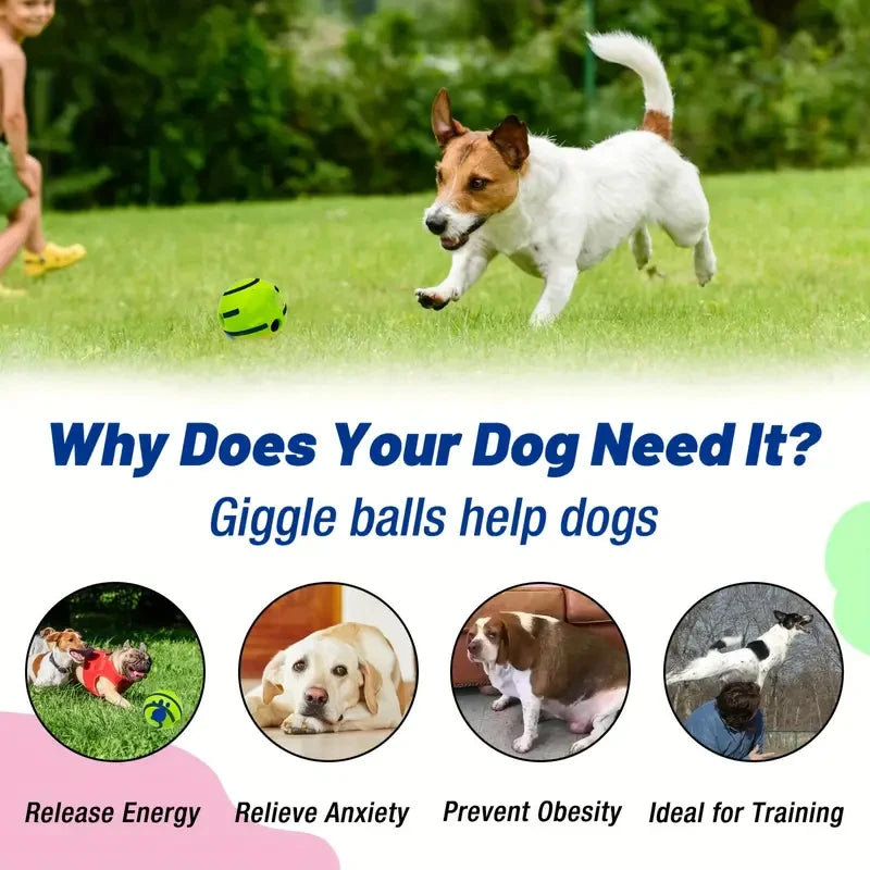 Pet Chew Ball for Cats & Dogs