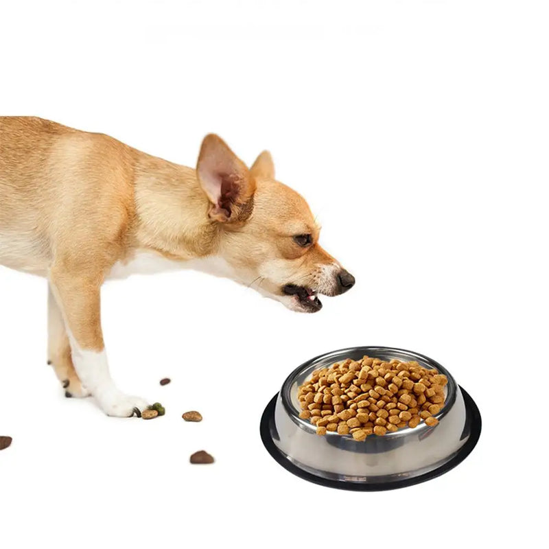 Stainless Steel Anti-Skid Dog Bowl