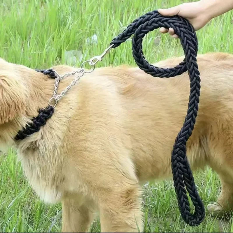 Large Nylon Dog Leash